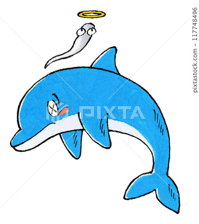 Dead Dolphin Dead Dolphin 117748496