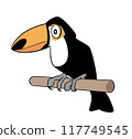 Illustration of toco toucan 117749545
