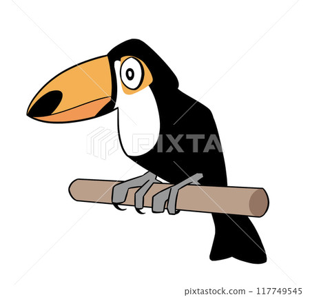 Illustration of toco toucan 117749545