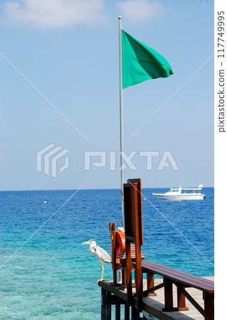 Flags fluttering in the sea (bathing guide flags) 117749995