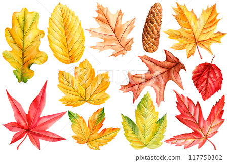 autumn leaves watercolor, set dry leaves on isolated background, watercolor botanical illustration, fall hand drawing autumn leaves watercolor, set dry leaves on isolated background, watercolor botanical illustration, fall hand drawing 117750302