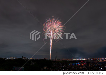 Edogawa (Ichikawa) Fireworks Festival, photographed from Edogawa Ward, Tokyo 117750447