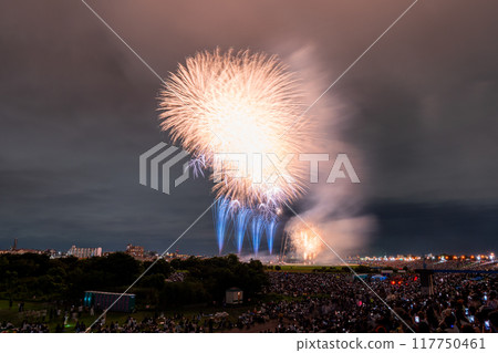 [東京]江戶川（市川）花火大會，從江戶川區拍攝 117750461
