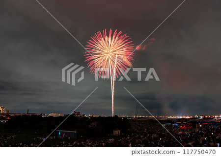 [東京]江戶川（市川）花火大會，從江戶川區拍攝 117750470