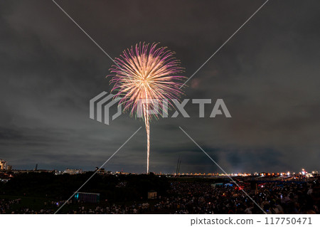 [東京]江戶川（市川）花火大會，從江戶川區拍攝 117750471