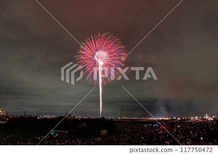 [東京]江戶川（市川）花火大會，從江戶川區拍攝 117750472