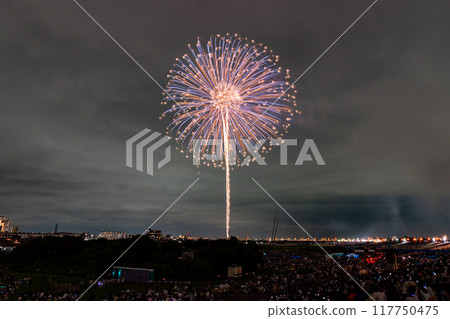 [東京]江戶川（市川）花火大會，從江戶川區拍攝 117750475