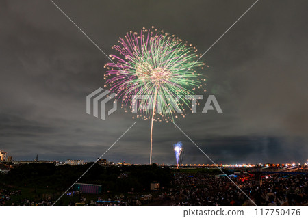 Edogawa (Ichikawa) Fireworks Festival, photographed from Edogawa Ward, Tokyo 117750476