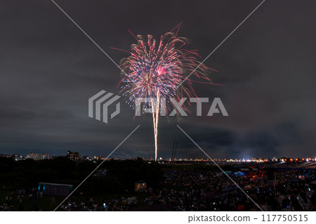 [東京]江戶川（市川）花火大會，從江戶川區拍攝 117750515