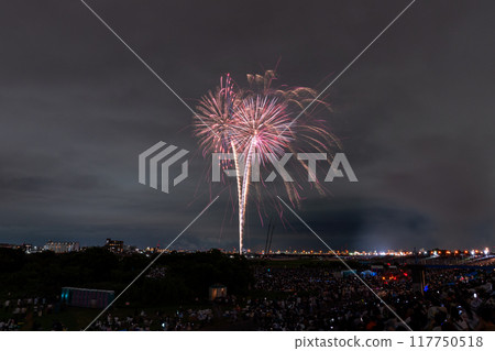 [東京]江戶川（市川）花火大會，從江戶川區拍攝 117750518