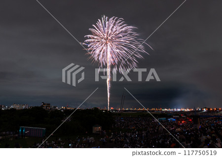 [東京]江戶川（市川）花火大會，從江戶川區拍攝 117750519