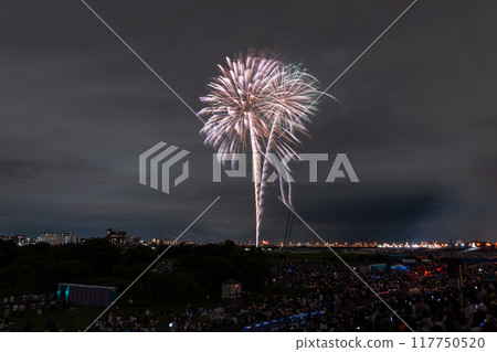 [東京]江戶川（市川）花火大會，從江戶川區拍攝 117750520