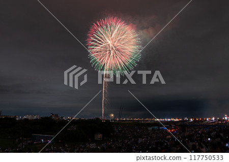 [東京]江戶川（市川）花火大會，從江戶川區拍攝 117750533