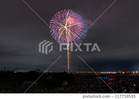 [東京]江戶川（市川）花火大會，從江戶川區拍攝 117750585