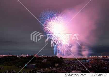 [東京]江戶川（市川）花火大會，從江戶川區拍攝 117750592