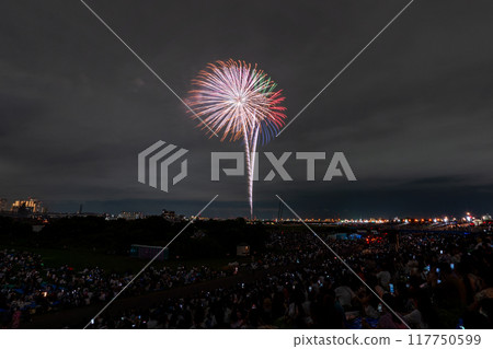 [東京]江戶川（市川）花火大會，從江戶川區拍攝 117750599