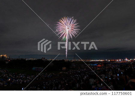 [東京]江戶川（市川）花火大會，從江戶川區拍攝 117750601