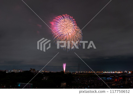 [東京]江戶川（市川）花火大會，從江戶川區拍攝 117750652