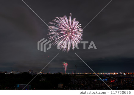 [東京]江戶川（市川）花火大會，從江戶川區拍攝 117750656