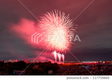 [東京]江戶川（市川）花火大會，從江戶川區拍攝 117750660