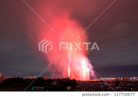 [東京]江戶川（市川）花火大會，從江戶川區拍攝 117750677