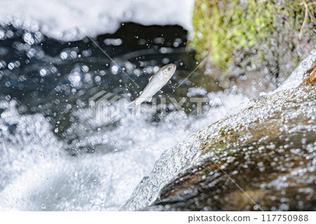 Upstroke of aleuria Upstroke of aleuria 117750988