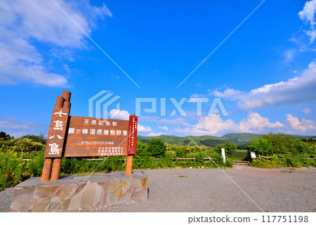 [長野縣]下諡訪町夏季屋島濕原 117751198