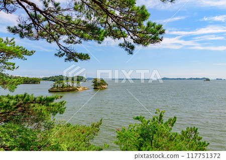 漫步日本三大風景之一的松島大島 117751372