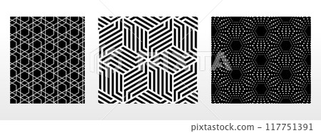 Geometric set of seamless black and white patterns. Simple vector graphics. 117751391