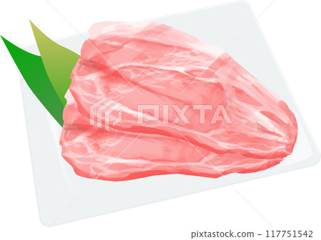 Pork Vector Illustration Pork Vector Illustration 117751542