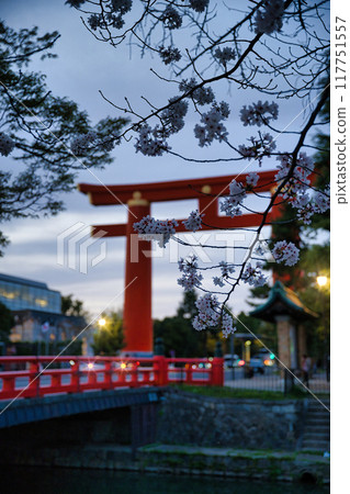 平安神宮大鳥居與櫻花 2023 年春季 117751557