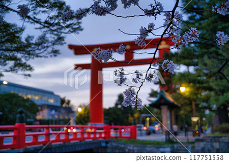 Heian Shrine's Great Torii Gate and Cherry Blossoms in Spring 2023 117751558