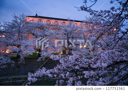 Cherry blossoms and sunset at Lake Biwa Canal in spring 2023 Cherry blossoms and sunset at Lake Biwa Canal in spring 2023 117751561