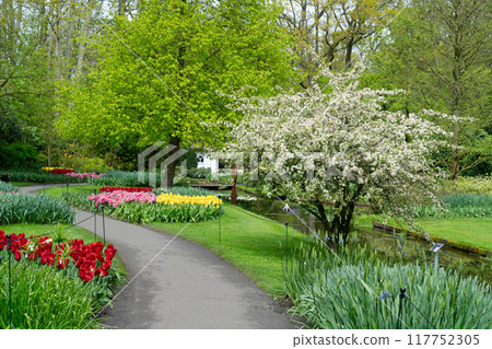 fresh lawn with flowers fresh lawn with flowers 117752305