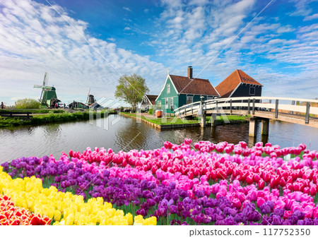 skyline of old town Zaanse Schans skyline of old town Zaanse Schans 117752350