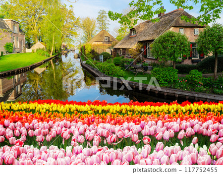 skyline of old town Giethoorn skyline of old town Giethoorn 117752455