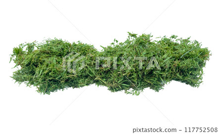 Cut out grass clippings from a lawnmower with clipping paths, set against a white background. Cut out grass clippings from a lawnmower with clipping paths, set against a white background. 117752508