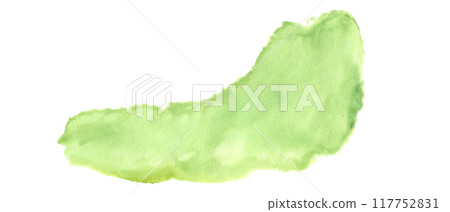 Soft Green Watercolor Abstract stain. Delicate natural textural grass simulation element hand drawn painting illustration. For backdrops, designs, art projects. 117752831