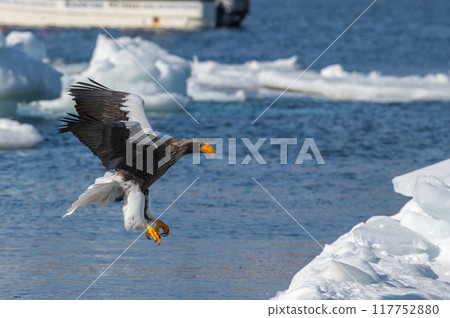 Shiretoko winter 117752880