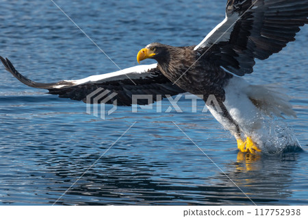 Shiretoko winter Shiretoko winter 117752938