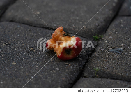 An apple core on a paving stone. A half-eaten apple is lying on the road 117752953