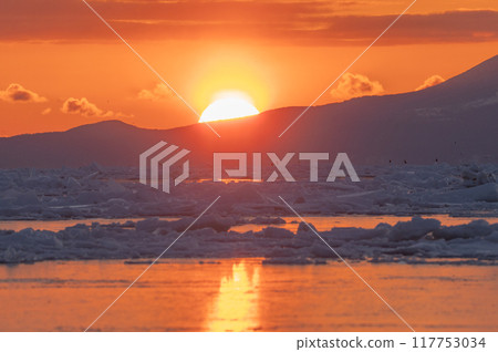 Shiretoko winter 117753034