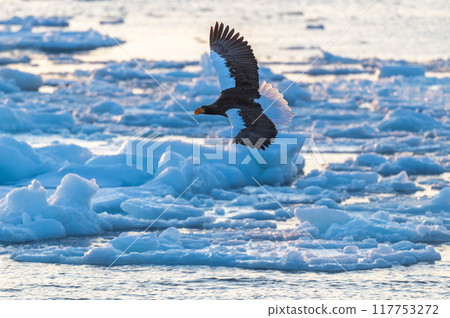 知床冬天 117753272