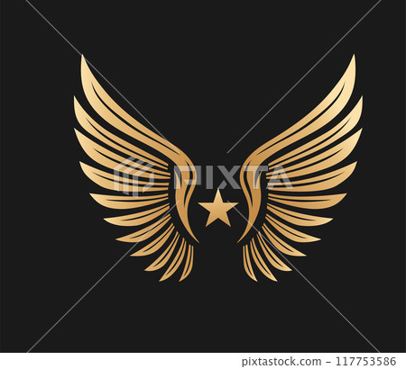 Golden Winged with Star symbol Golden Winged with Star symbol 117753586