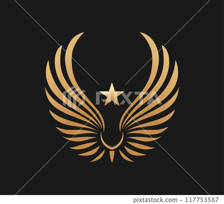 Golden Winged with Star symbol Golden Winged with Star symbol 117753587