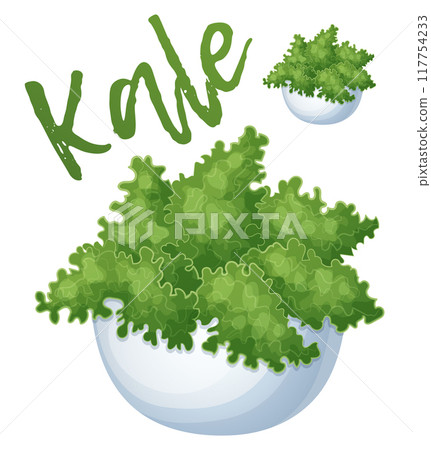 Green kale in a bowl icon isolated on white background. Cartoon vector ingredients illustration Green kale in a bowl icon isolated on white background. Cartoon vector ingredients illustration 117754233