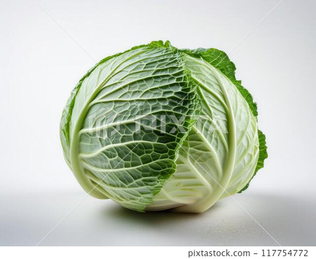 Cabbage 117754772