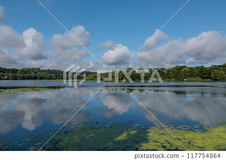 lake baldeney at eh german city of Essen 117754864