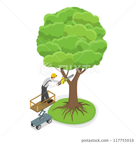 3D Isometric Flat Vector Set of Professional Gardener, Gardens and Parks Maintenance Service, Tree Pruning. Item 3 117755018