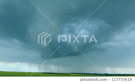Organic Rapeseed Field For Pollination And Honey Production With Yellow Blossoms. Blooming Rapeseed Field On A Sunny Day In Spring. Canola Background Blue Sky. 117755619